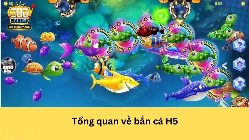 Tổng quan về bắn cá H5