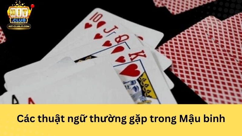 Các thuật ngữ thường gặp trong Mậu binh
