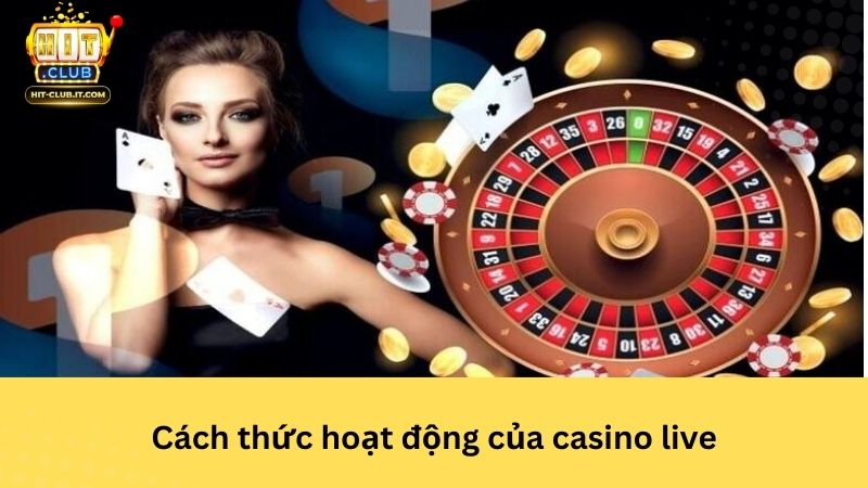 Cách thức hoạt động của casino live