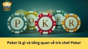 Poker là gì và tổng quan về trò chơi Poker