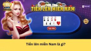 Tiến lên miền Nam là gì?