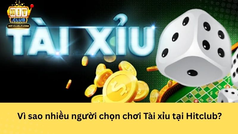 Vì sao nhiều người chọn chơi Tài xỉu tại Hitclub?